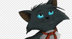 Kako imenovati crnu mačku